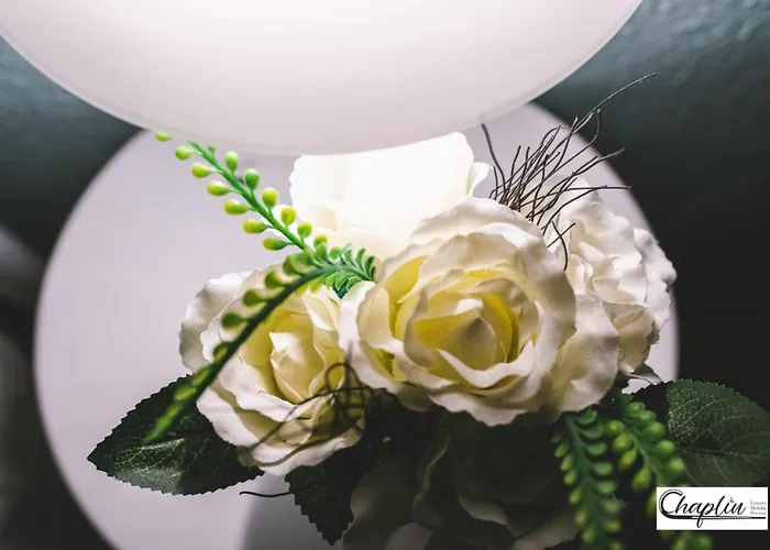 Casa vacanza: Chaplin Luxury Holiday House