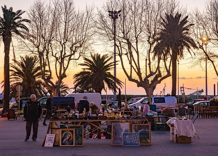 Hôtel accueillant les animaux: Sud Hôtel Restaurant