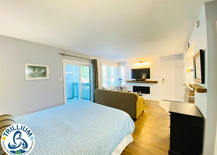 Slopeside Blue Mountain Condo - Wifi, Linens/Towels, Ski In/Out