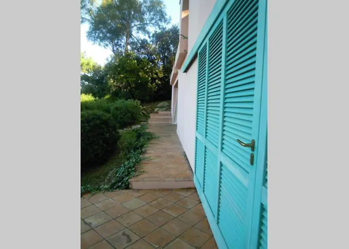  Mini Suite Ulivo