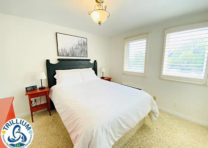 Blue Mountain Suites
