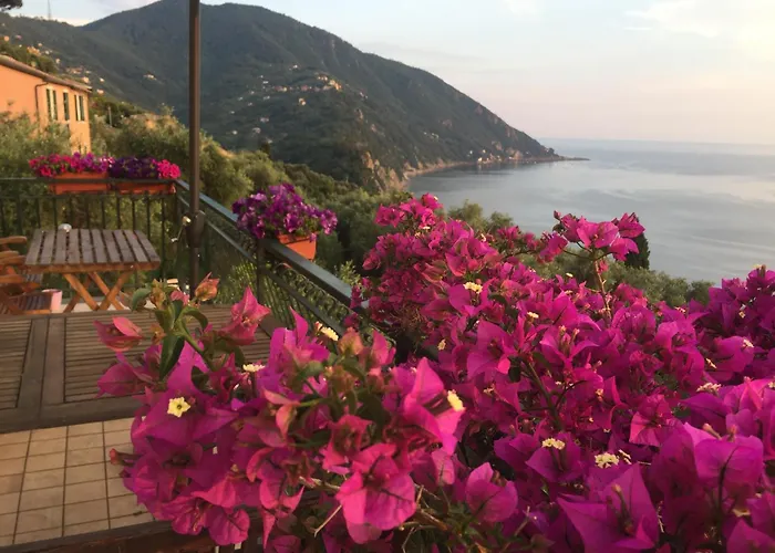 B&B Case Rosse