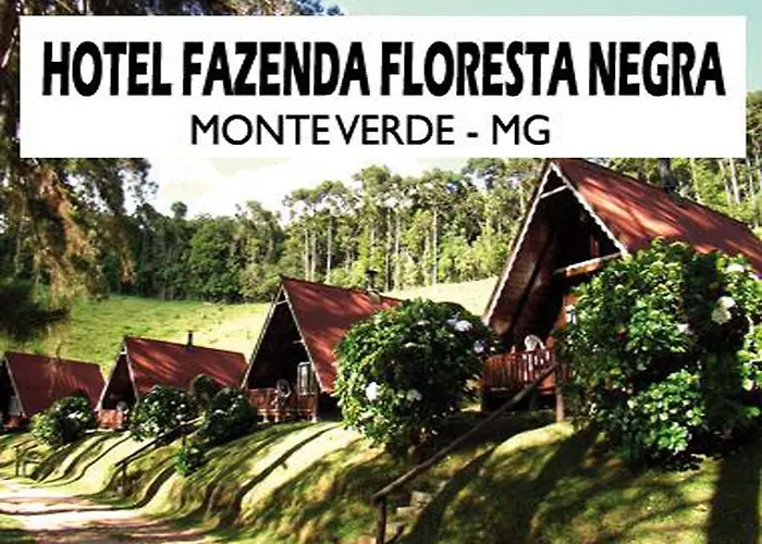 Fazenda Floresta Negra