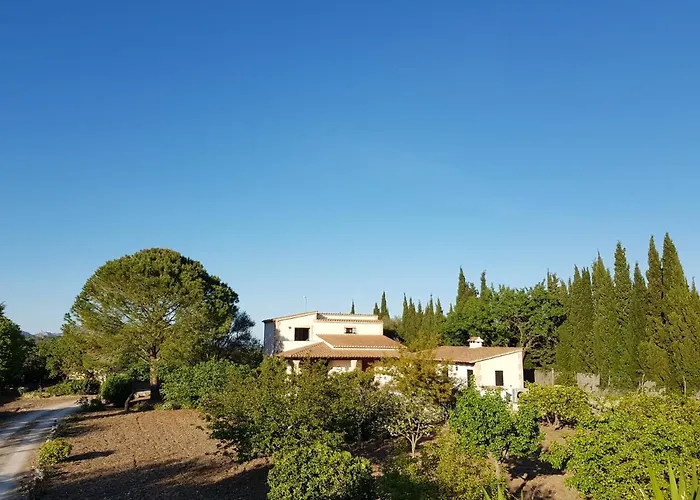 Marina Villa Milagro 3 Bedroom Finca Style Villa With Pool Near Golf Course, Beaches, Air Cond