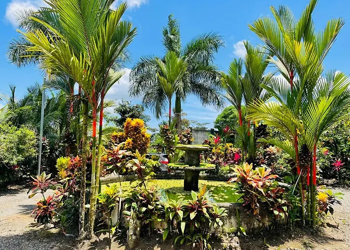 Aunty Arenal Lodge