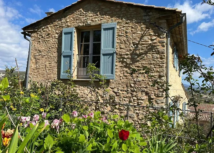 Beautiful House With Swimming Pool In The Historic Center