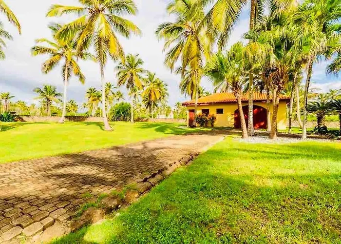 Palm House - Luxury Villa - Samana - Ocean Front