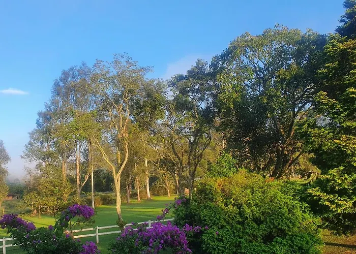 Vila: Fazenda Pedra Selada