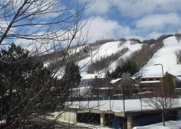 Blue Mountain Luxury Studio