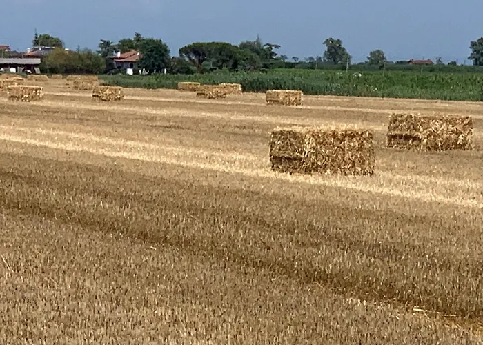 Agriturismo Ca' Alleata