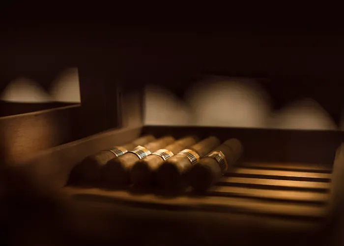 Hotel Ambasador - By Liburnia Hotels & Villas