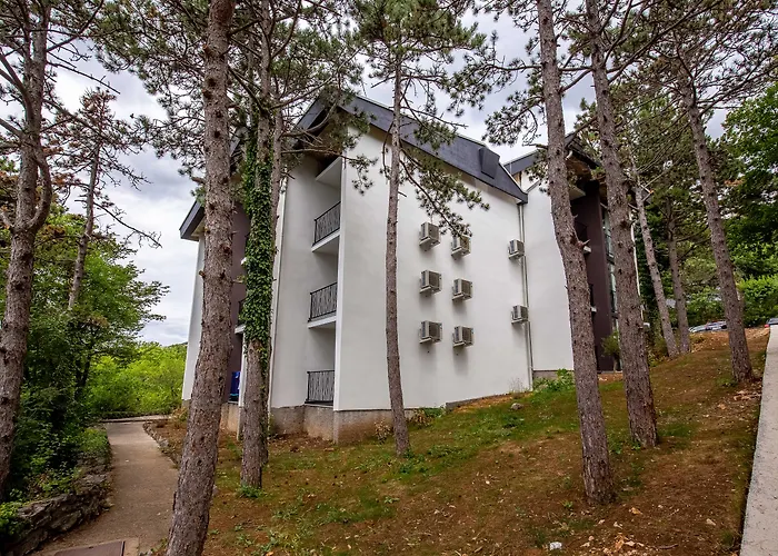 Hotel Omorika