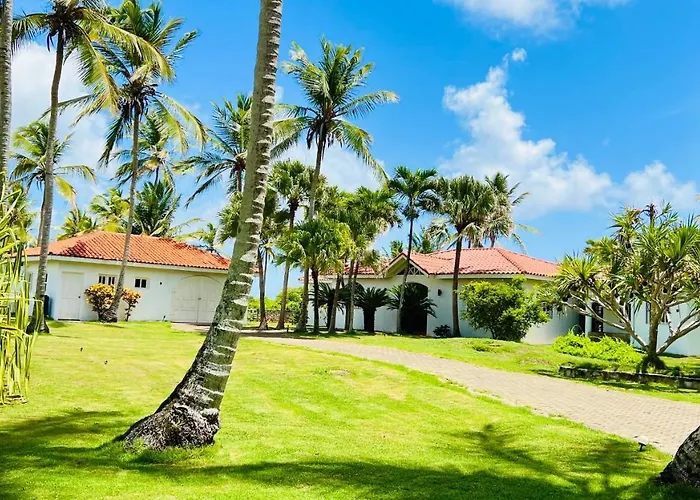 Palm House - Luxury Villa - Samana - Ocean Front