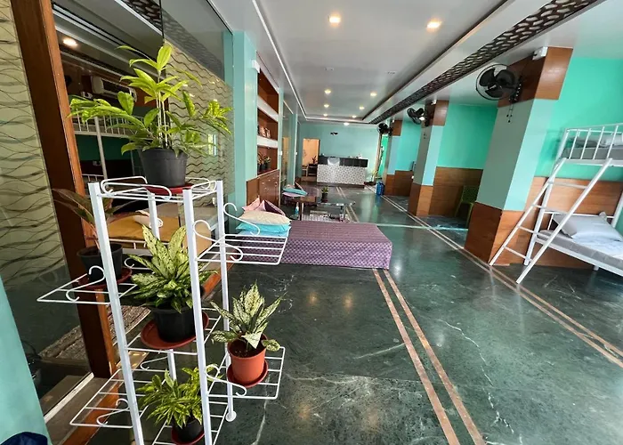 The Hostels Backpackers