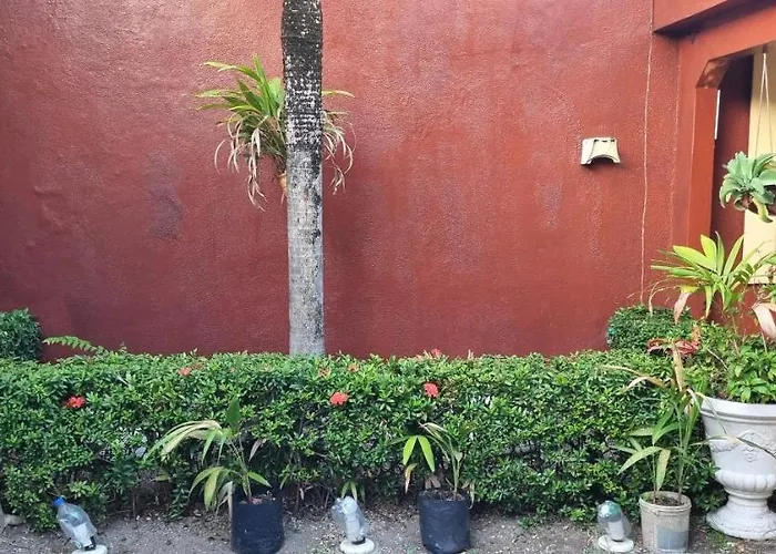Excelente Casa No Bairro Mundo Novo Com Piscina