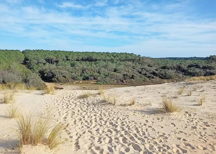 Maison au milieu des pins entre golf et plage
