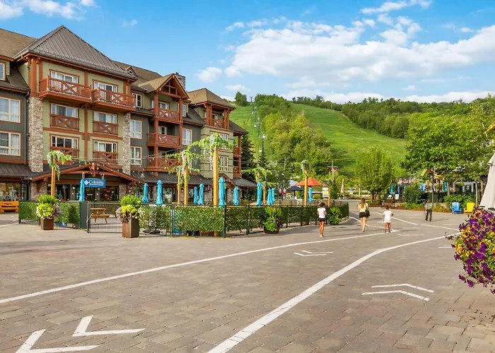 The Alpine Outlook At Rivergrass