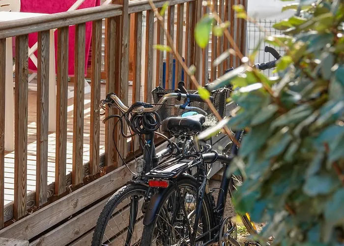 Hôtel accueillant les animaux: Camping Pleine Mer