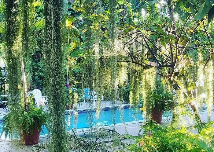Orchid Cottage