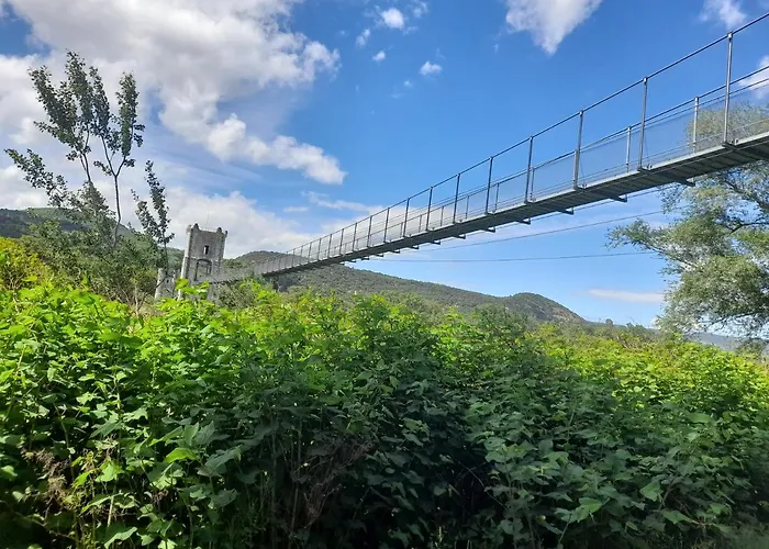 Viarhona