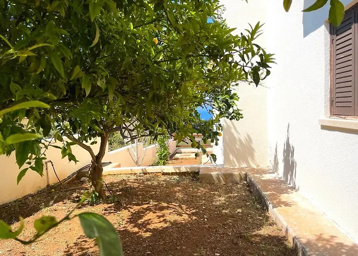 Nysa7