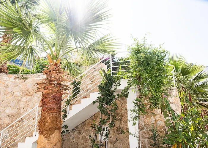 Villa Ayseguel