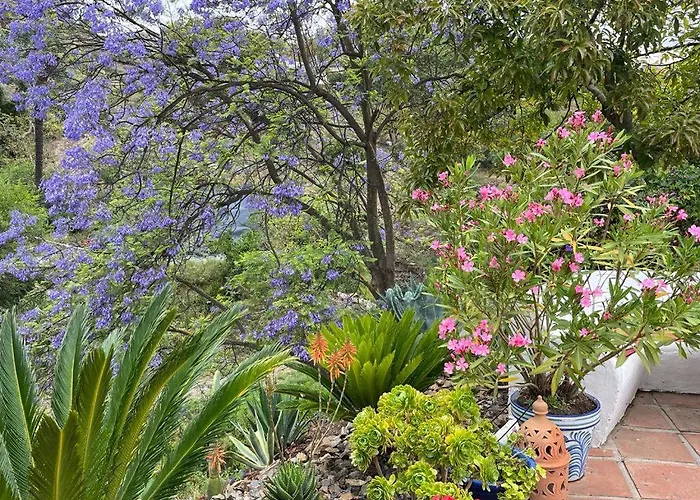 Familiehotel: B&B Rural El Oasis