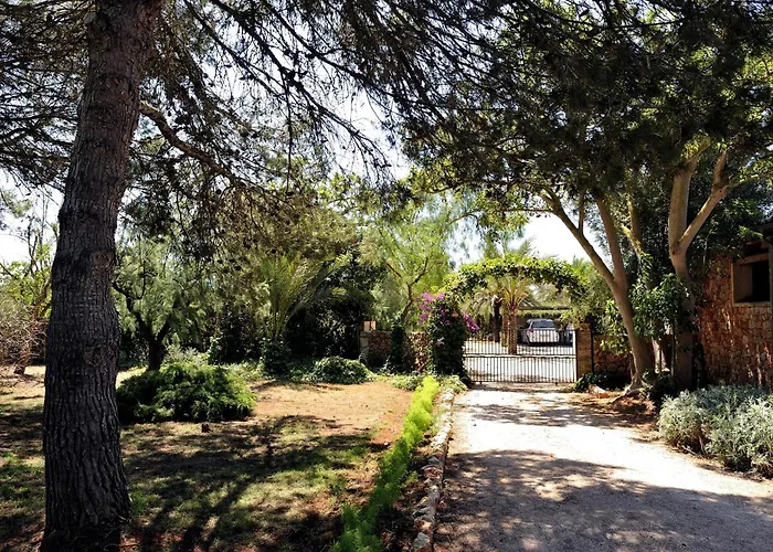 Petit Hotel Es Figueral