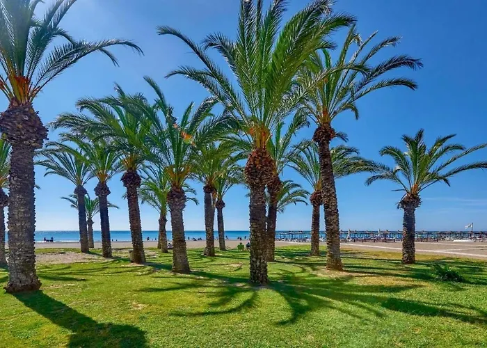 Studio La Carihuela