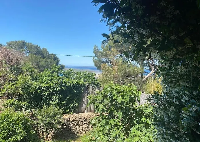 Loft Sur Le Mont Saint Clair - Sete
