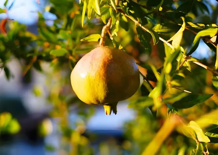La villa: Luna D'Agerola