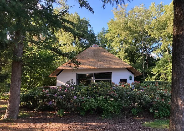 Bungalow De Schuilevink - 8p MIVA