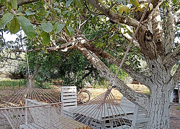 LA PILA masseria salentina con piscina 3 camere con 6 PL si animali domestici