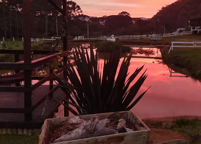 Hotel: Pousada Nó de Pinho
