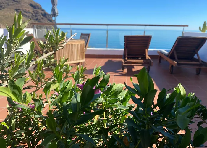 Hotel que admite mascotas: Vistas Increibles