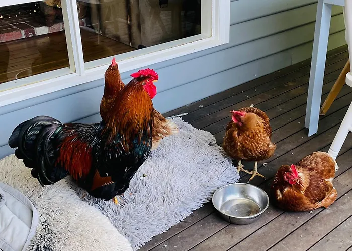 Farm Stay Poplar Cottage At Wilindi Estate