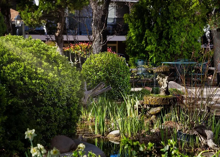 Hotel: Sky Ranch Lodge