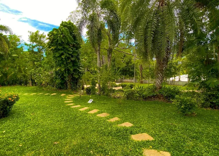 Tropical Garden