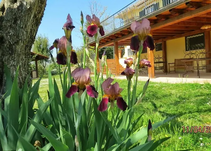 Poggio in fiore