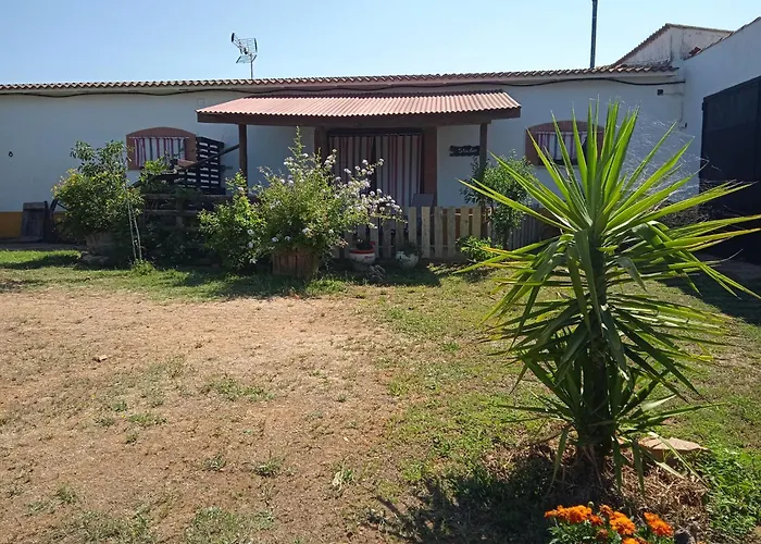 La Tierra Verde STUDIO