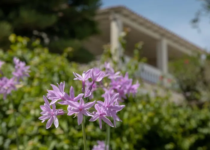 Ionian Garden Villas - Villa Olea