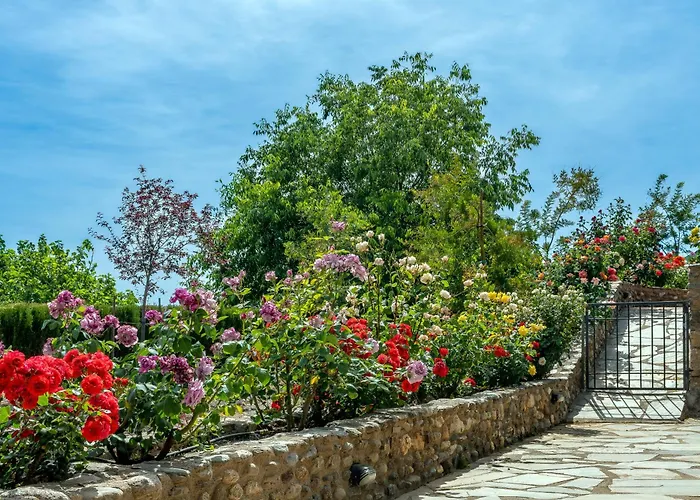 Alpujarra Sulayr