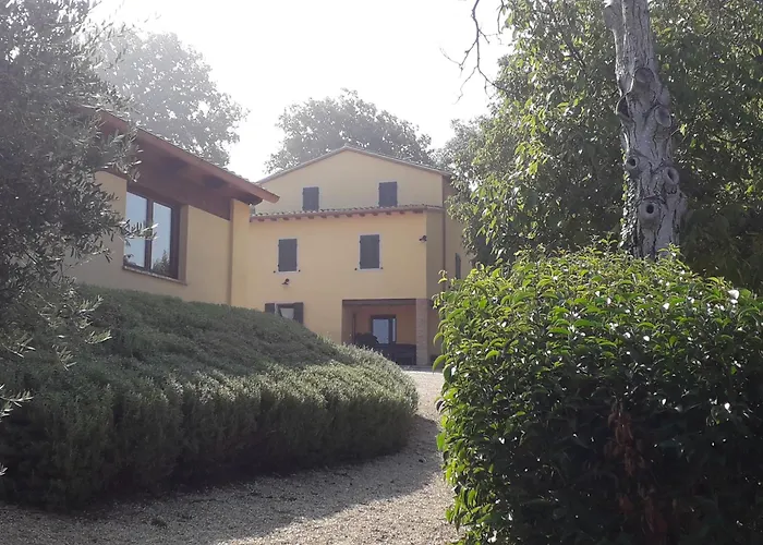  Il Truffarello