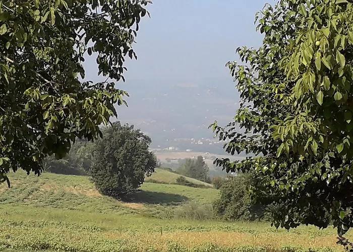  Il Truffarello
