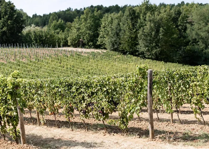 Cascina Bella Relais