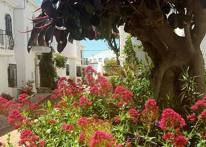 Villa Crisantemos