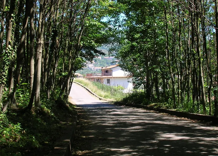 Hotel vicino al College: Casa Pendola