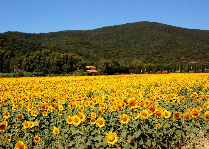 Cabina: Podere Valborgina