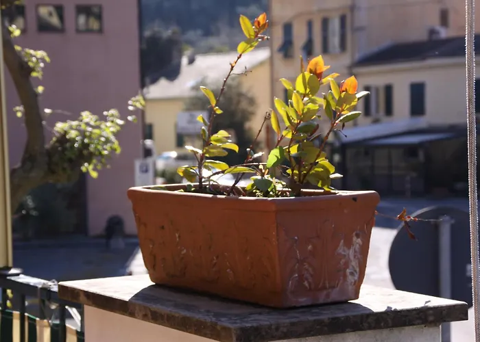 Hotel 3 stelle: Villa Clelia