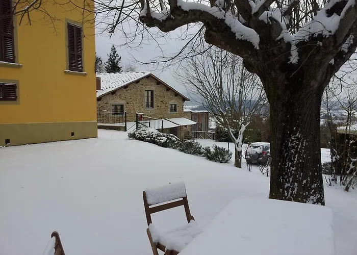 Poggio Agli Ulivi